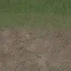 desmudgrass