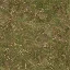 forestfloor256
