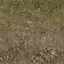 forestfloor_sones256