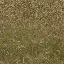 forestfloorblendded