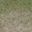 grass4_des_dirt2