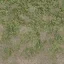 grass4dirtytrans
