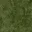 grassdeep1