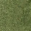 grassshort2long256