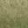 grasstype1-4