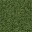 grasstype10