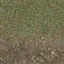 grasstype3dirt