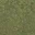 grasstype4-3