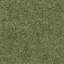 grasstype510