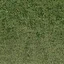 grasstype510_10