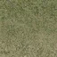grasstype5_4
