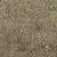 grasstype5_dirt