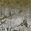 rocktq128_forestblend2