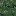 lodws_algae_concrete