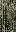 ws_corr_metal1