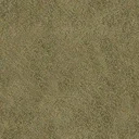 sfn_grass1