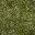 grassgrn256