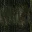 coasty_bit3_lod
