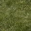 grassgrn_lod