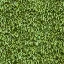 veg_hedge1_lod