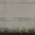 vgeferryland_lod