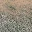 des_dirtgravel