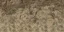 vgs_rockbot1a_lod