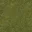 yardgrass1_lod
