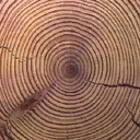 gen_log_end