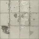 man_ceiling