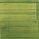 hs2_blind1