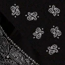 bandblack