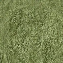 bow_church_grass_gen
