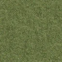 grasstype4