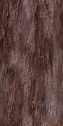sm_redwood_bark