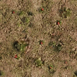 oldflowerbed