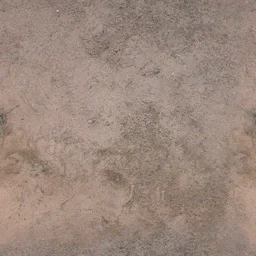 sl_sfndirt01
