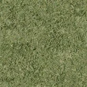 grasstype7