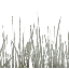 txgrass1_0