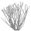 txgrass1_3