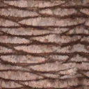kbtree3_test