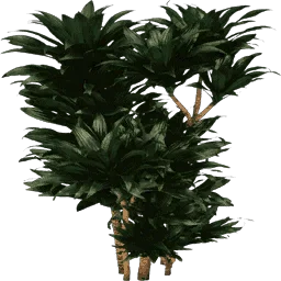 plantc256