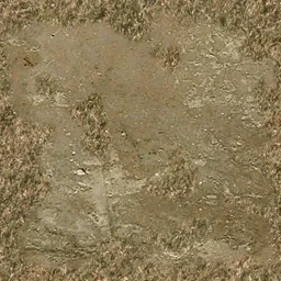 sjmscorclawn3