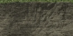 cuntbrnclifftop