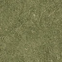 sw_grass01
