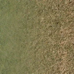 grassdead1blnd