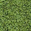golf_hedge1