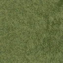 grassshort2long256