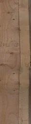 timber_gz