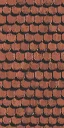 shingles3